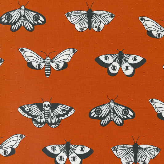 Noir 511543-14 pumpkin