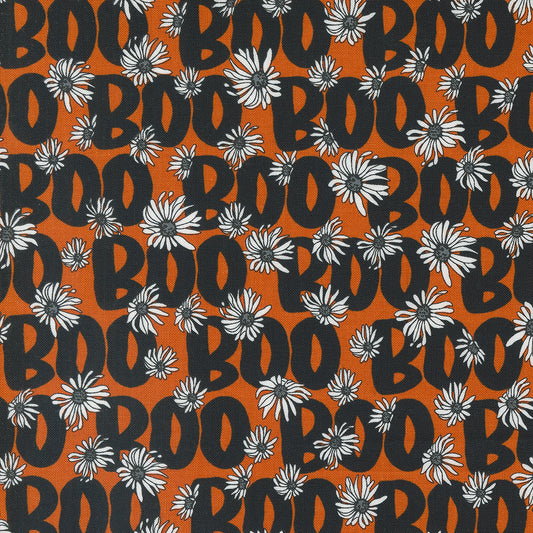 Noir 511544-14 pumpkin