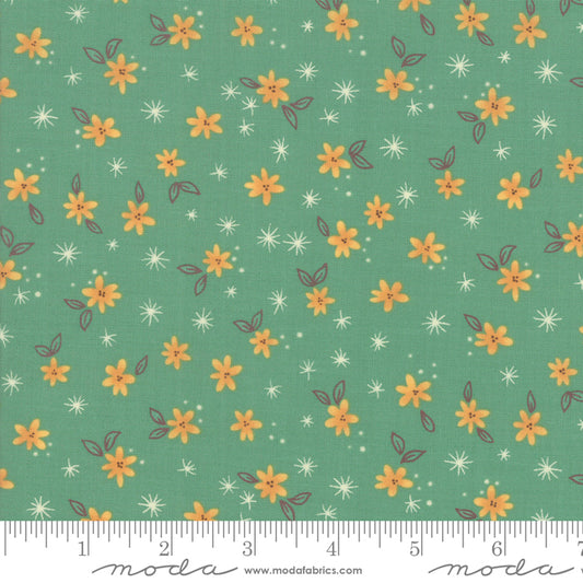Last Blooms 518001 13