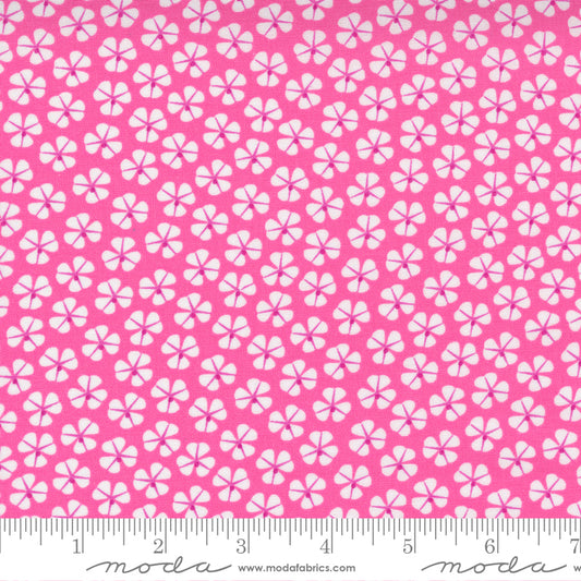 Petal Power 522414-21