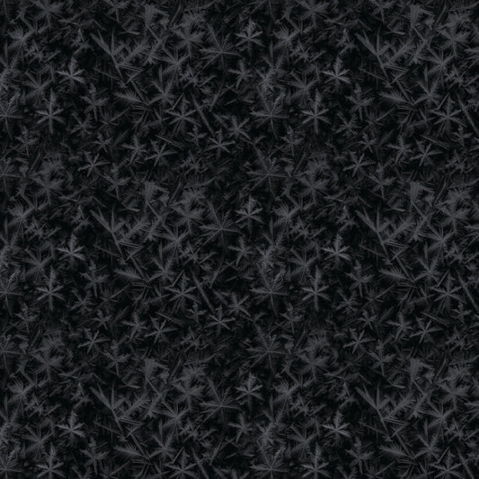 Strokes of the Wild 21231202-02 Black