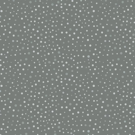 Mixology Dottie WIDE 2148W 0120 LT Grey
