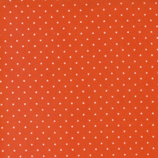 Twinkle 524106-13 Pumpkin