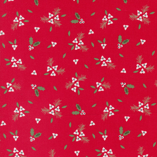 Starberry 529182-12