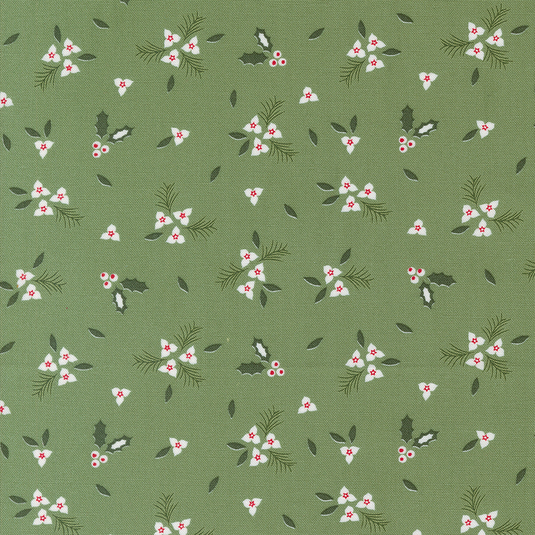 Starberry 529182-13 green