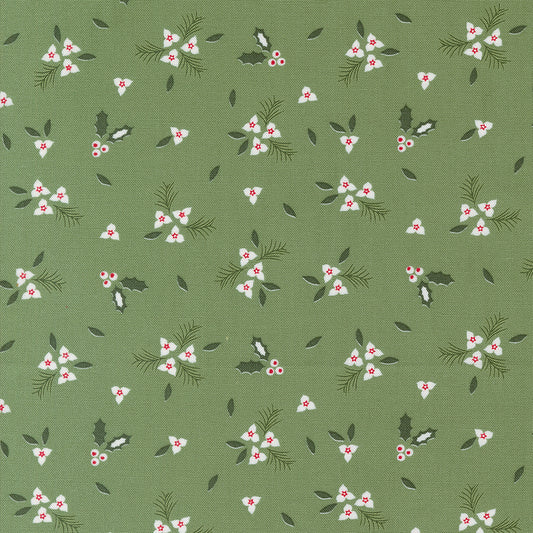 Starberry 529182-13 green