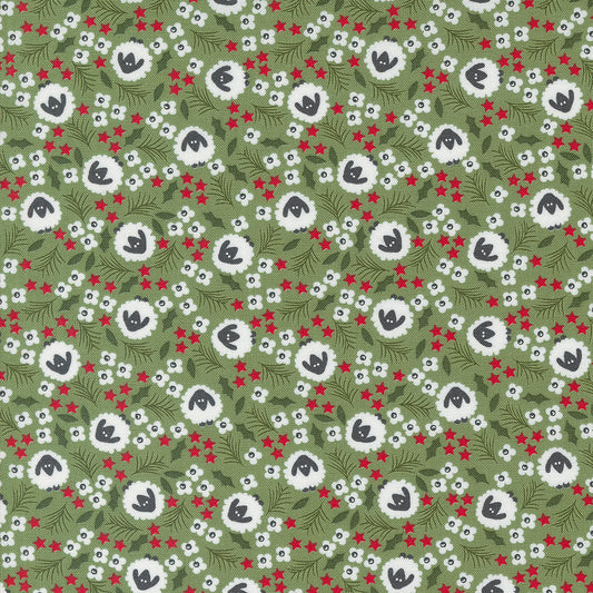 Starberry 529183-13