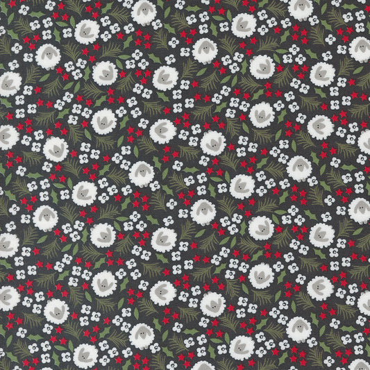Starberry 529183-14