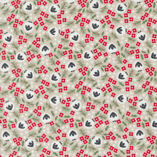Starberry 529183-16