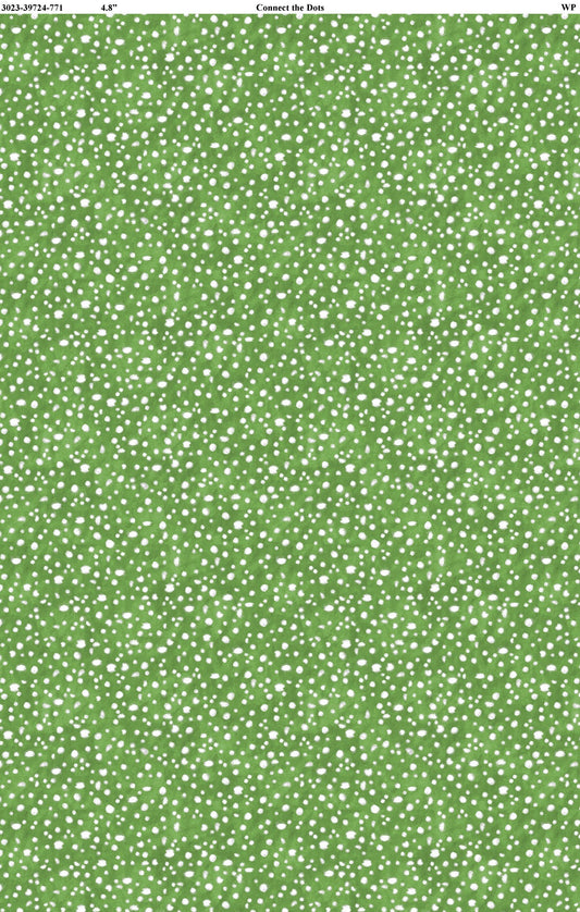 Connect the Dots 3023-39724-771