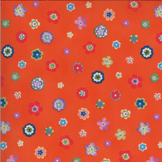 Lulu 533585-13 clementine