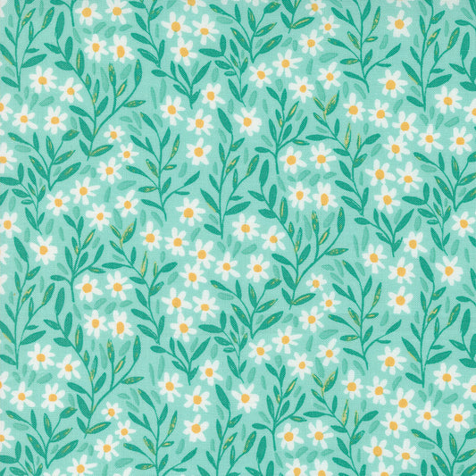 Kindred 536073-13 aqua