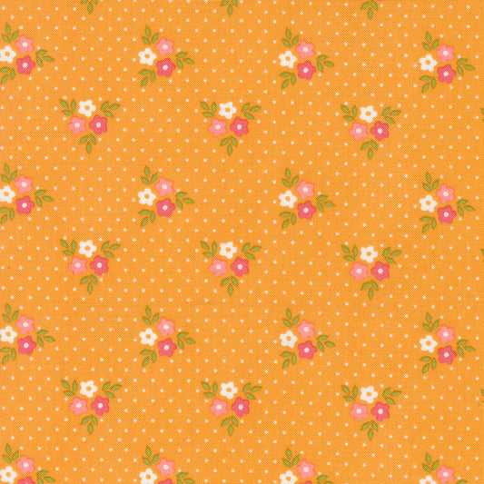 Strawberry Lemonade 537672-16 Apricot