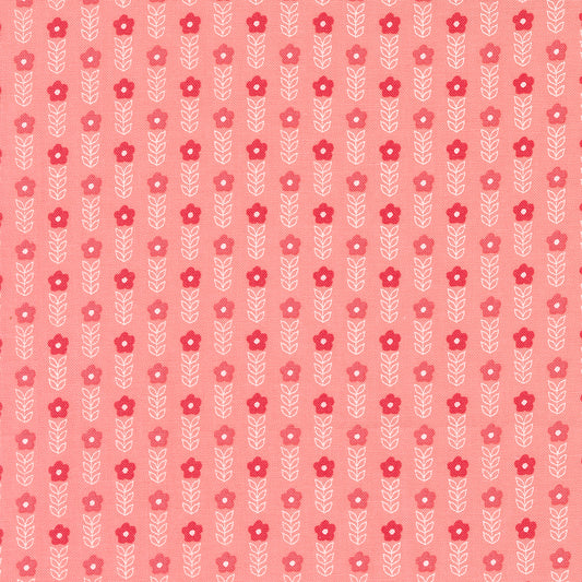 Strawberry Lemonade 537673-12 Carnation