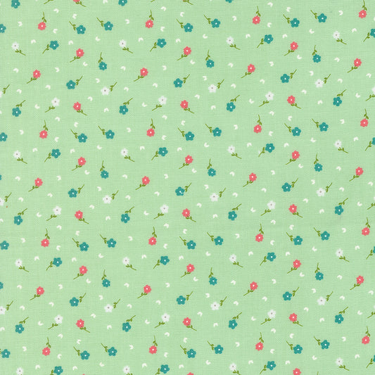 Strawberry Lemonade 537674-17 Mint