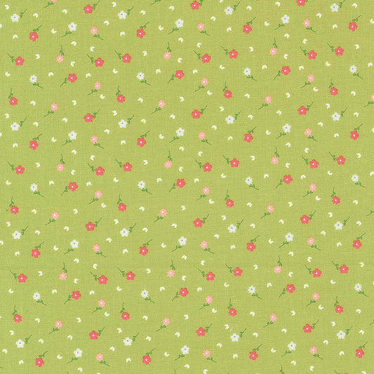 Strawberry Lemonade 537674-19 Lime