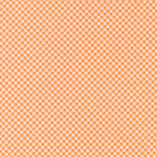 Strawberry Lemonade 537676-16 Apricot