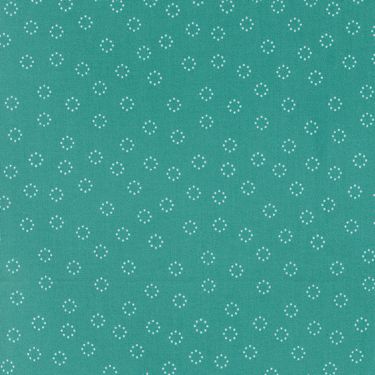 Strawberry Lemonade 537677-21 Teal