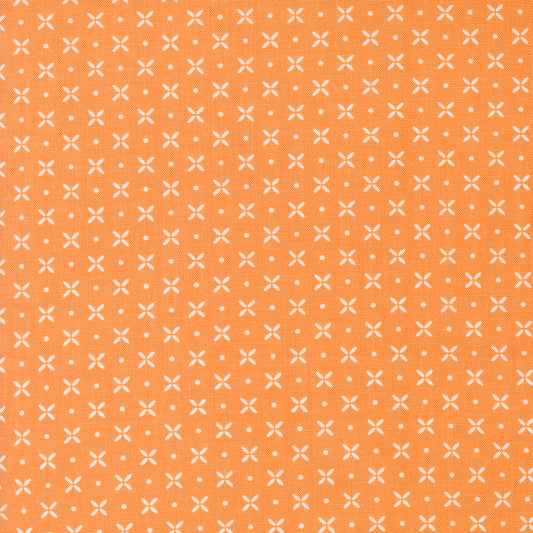 Laguna Sunrise 537686-19 Orange