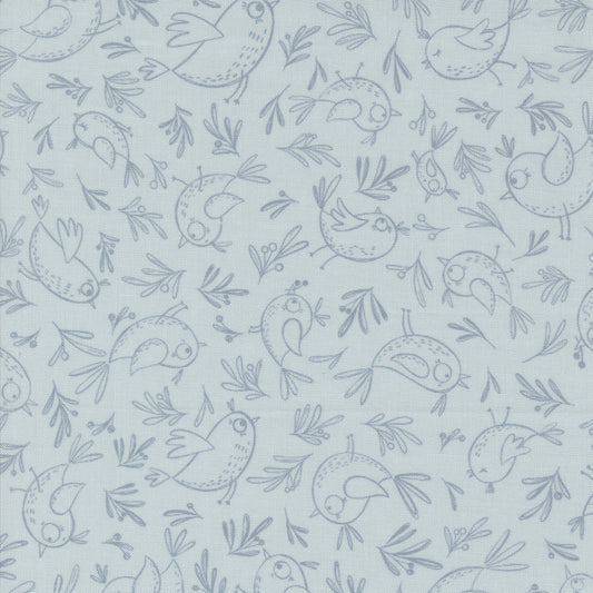 Chirp 539034-19 sky