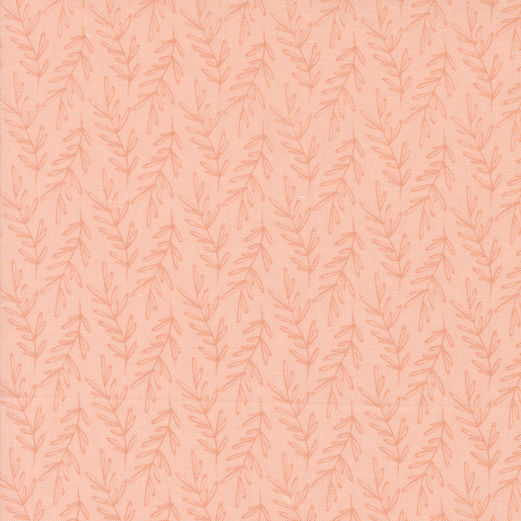 Chirp 539035-12 Sunrise