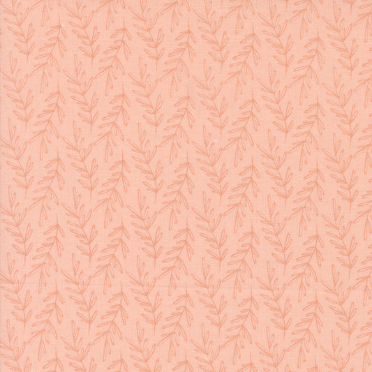 Chirp 539035-12 Sunrise