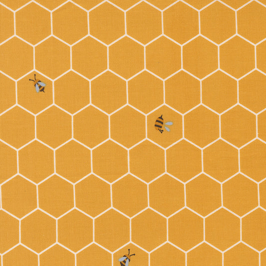 Blossom and Blooms 539057 18 sunshine