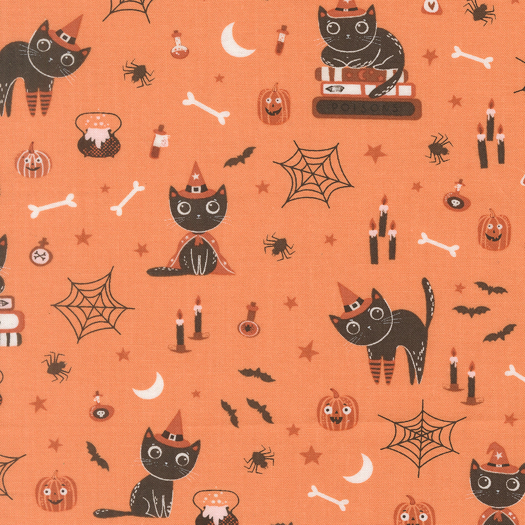 Purrs and Boos 539060 14 Pumpkin