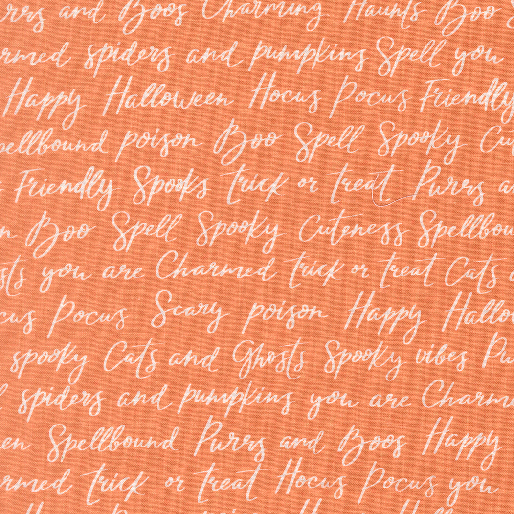 Purrs and Boos 539062 14 Pumpkin