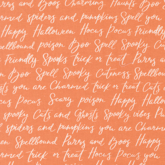 Purrs and Boos 539062 14 Pumpkin