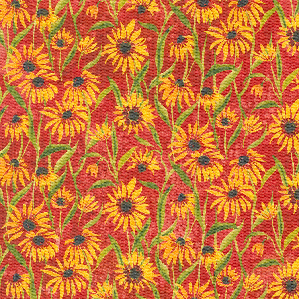 Floribunda 539805-14 Spice