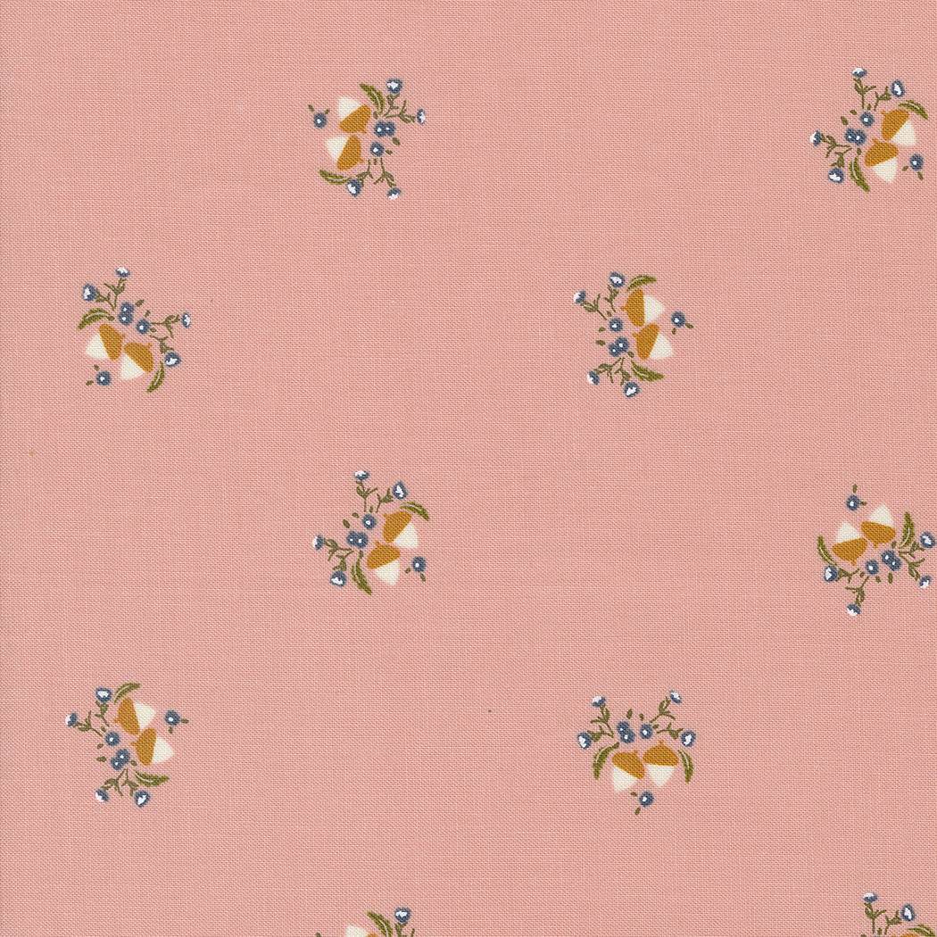Enchantment 543175-16 blush