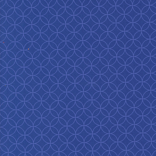 Rainbow Spice 545042-19 Tanzanite