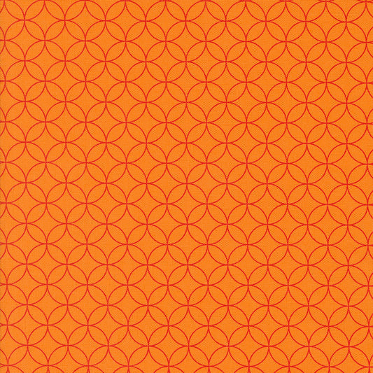 Rainbow Spice 545042-31 Pumpkin