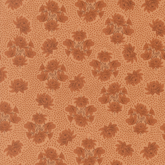 Wellspring 545672 14 coral seashell