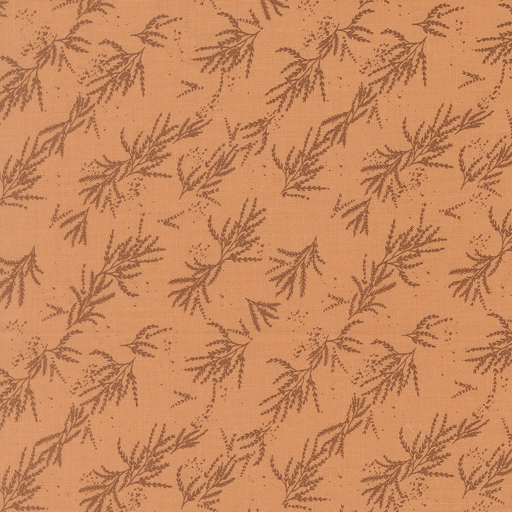 Wellspring 545674 14 Coral Seashell