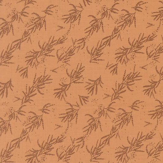 Wellspring 545674 14 Coral Seashell