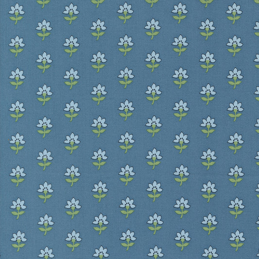 Shoreline 55301-13 Medium blue