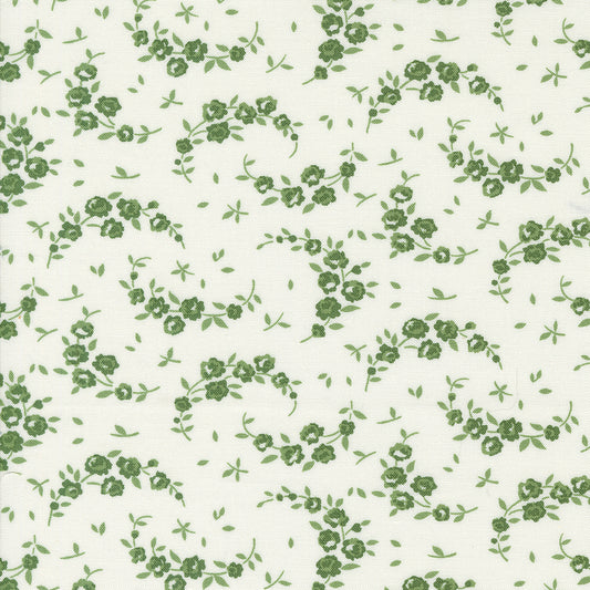 Shoreline 55308-25 Cream- green
