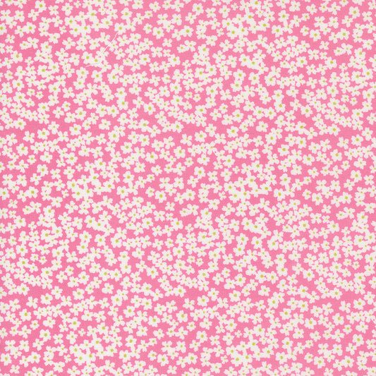 Shine 55672 13 Lollipop