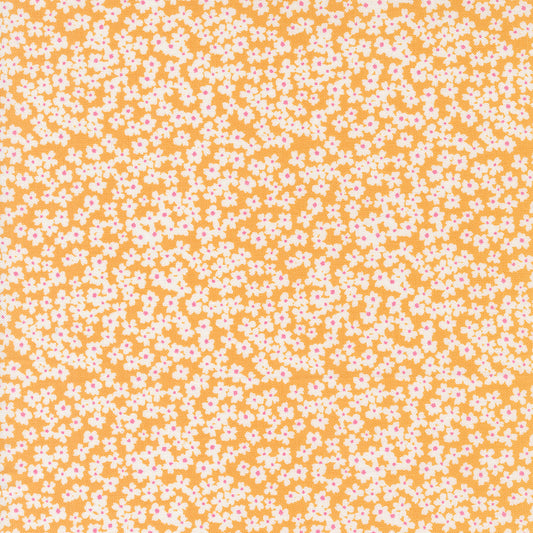 Shine 55672 15 Orangesicle