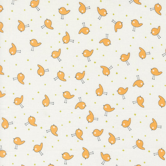 Shine 55674 15 Orangesicle