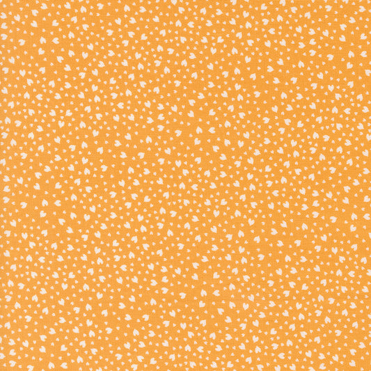 Shine 55675-15 Orangesicle
