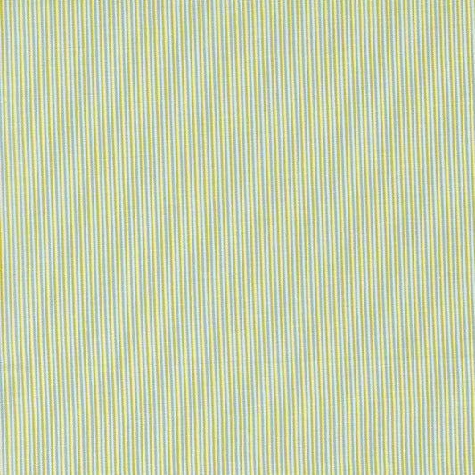 Shine 55677 22 Grass
