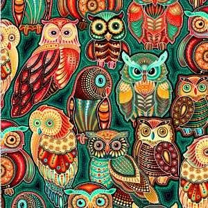 Sahul Land Stacked Owls Teal OA596963