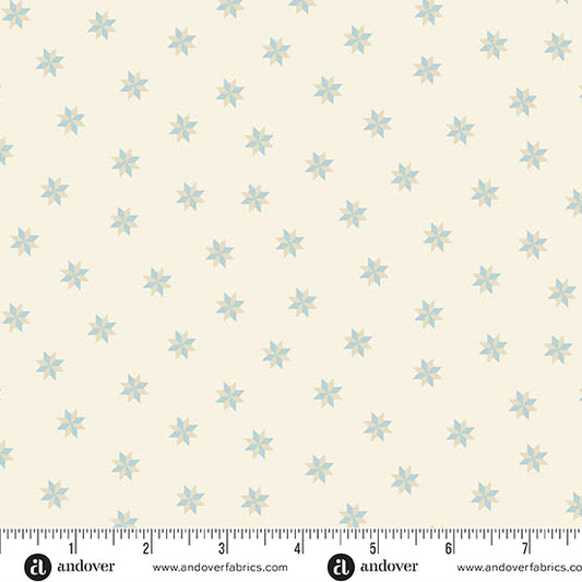 Sewing Bird A 1610 L Shell Le Moyne Star