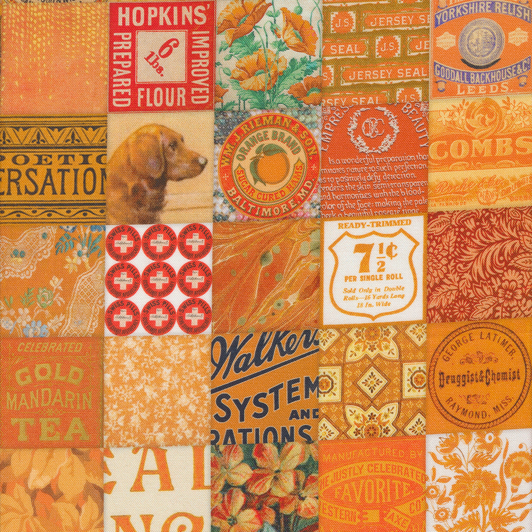 Curated in Color Orange 57461-13