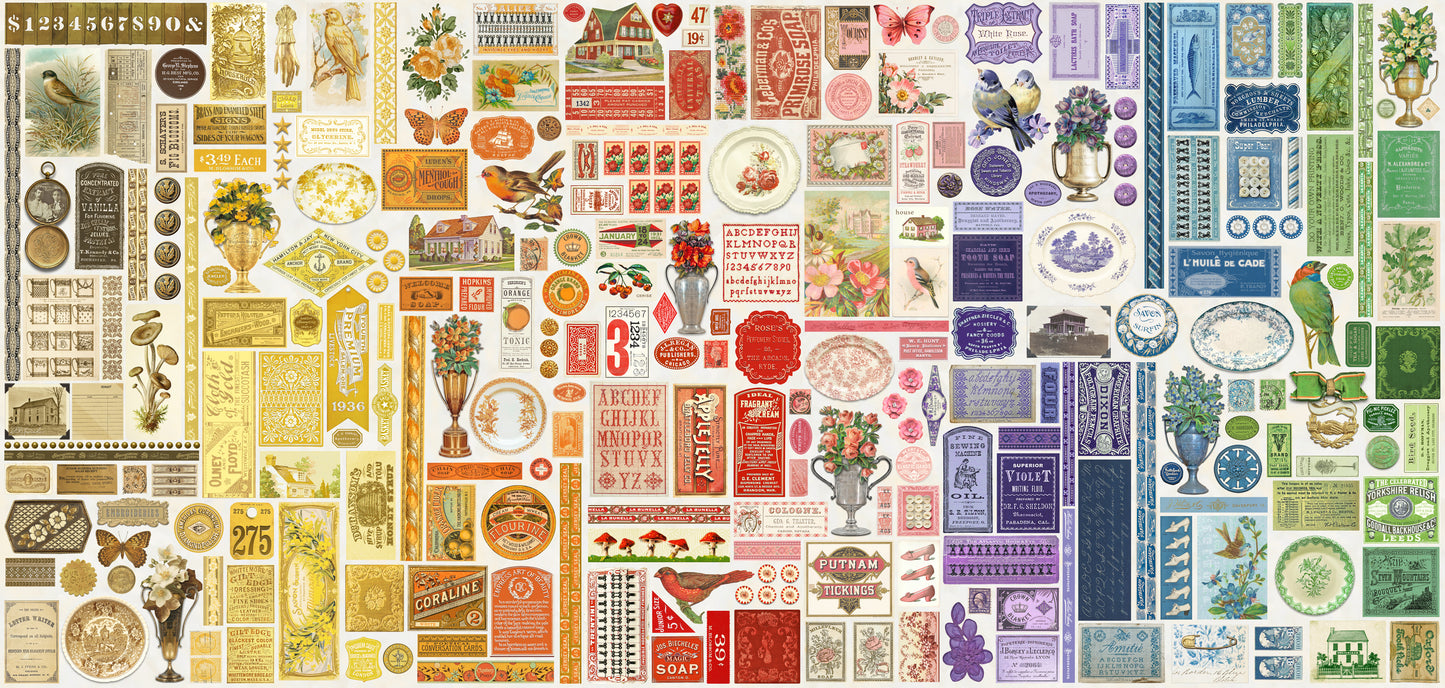 Curated in Color 57466-11