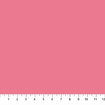 Colorworks 9000 206 Desert Rose