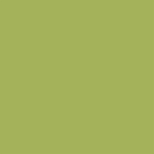 Colorworks 9000-741 Kiwi